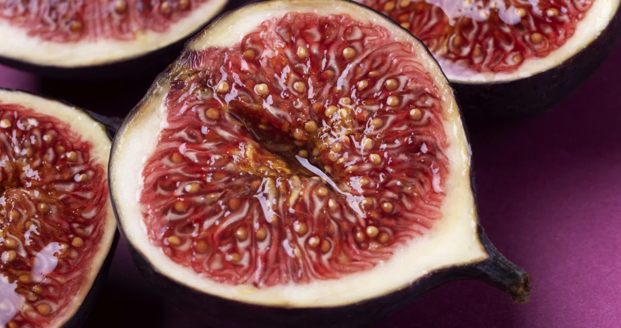 Stari su vjerovali da su božanski dar/Free Pik