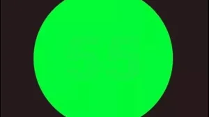 Rijetki uspiju vidjeti broj/Facebook