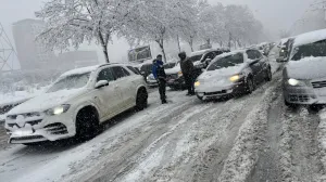 saobraćajna nesreća/čitatelj