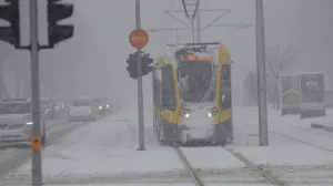 Snjeg šetnja saobračaj ilustracije zima/Senad Gubelić