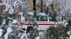 Drvo, Grbavica, pad drveta, snijeg, povrijeđena jedna osoba/Crna Hronika