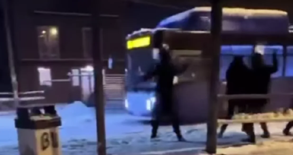 Srbija, grudvanje, djeca, drama, autobus, vozač/Prtsc