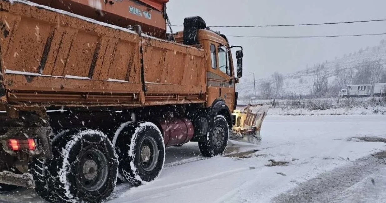 Grtalica/Ilustracija/Grad Banja Luka//