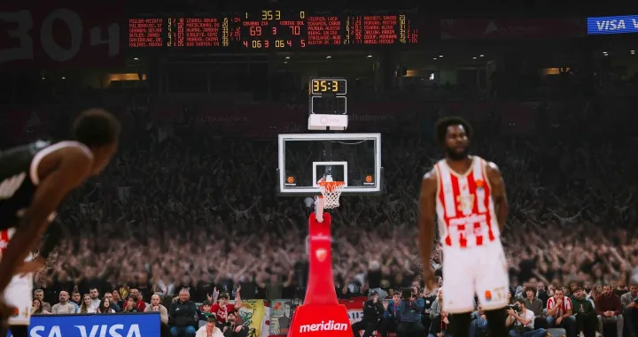 Navijači Zvezde/Foto: 