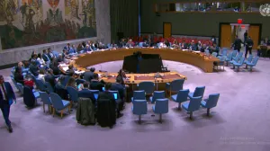 Vijeće sigurnosti, UN/Print Screen