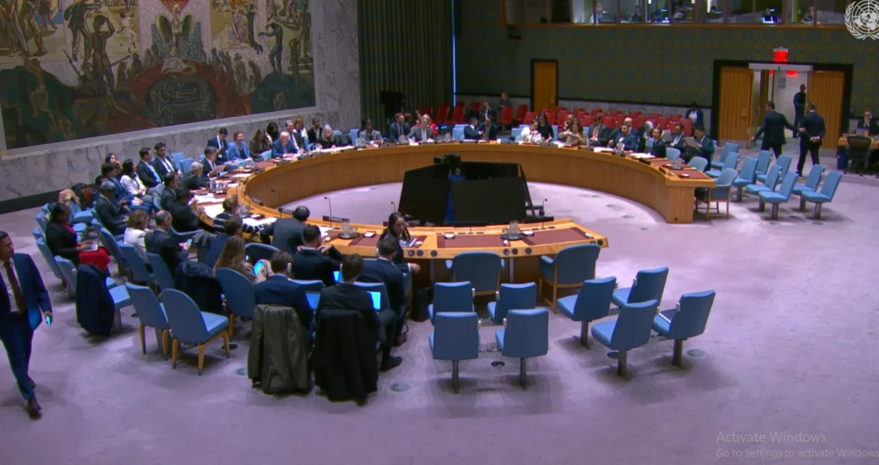 Vijeće sigurnosti, UN/Print Screen