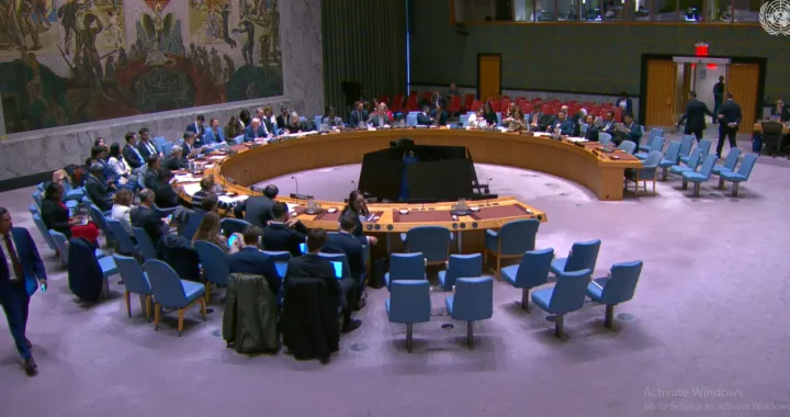 Vijeće sigurnosti, UN/Print Screen