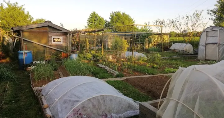 Vrtlarstvo na malim urbanim parcelama/