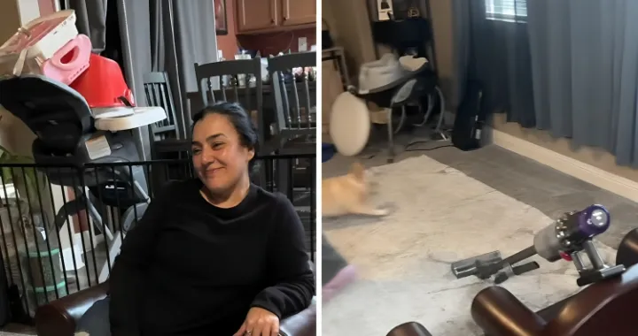 Prodali su svoj namje&scaron;taj i novi naručili s Temua. Video je postao hit/Screenshot