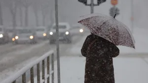 Snjeg šetnja saobračaj ilustracije zima/Senad Gubelić