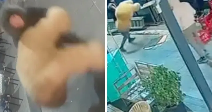 Krađa pli&scaron;anog mede ispred Tesla puba/Crna Hronika