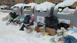 Snjeg odvoz smeća novi grad/Senad Gubelić