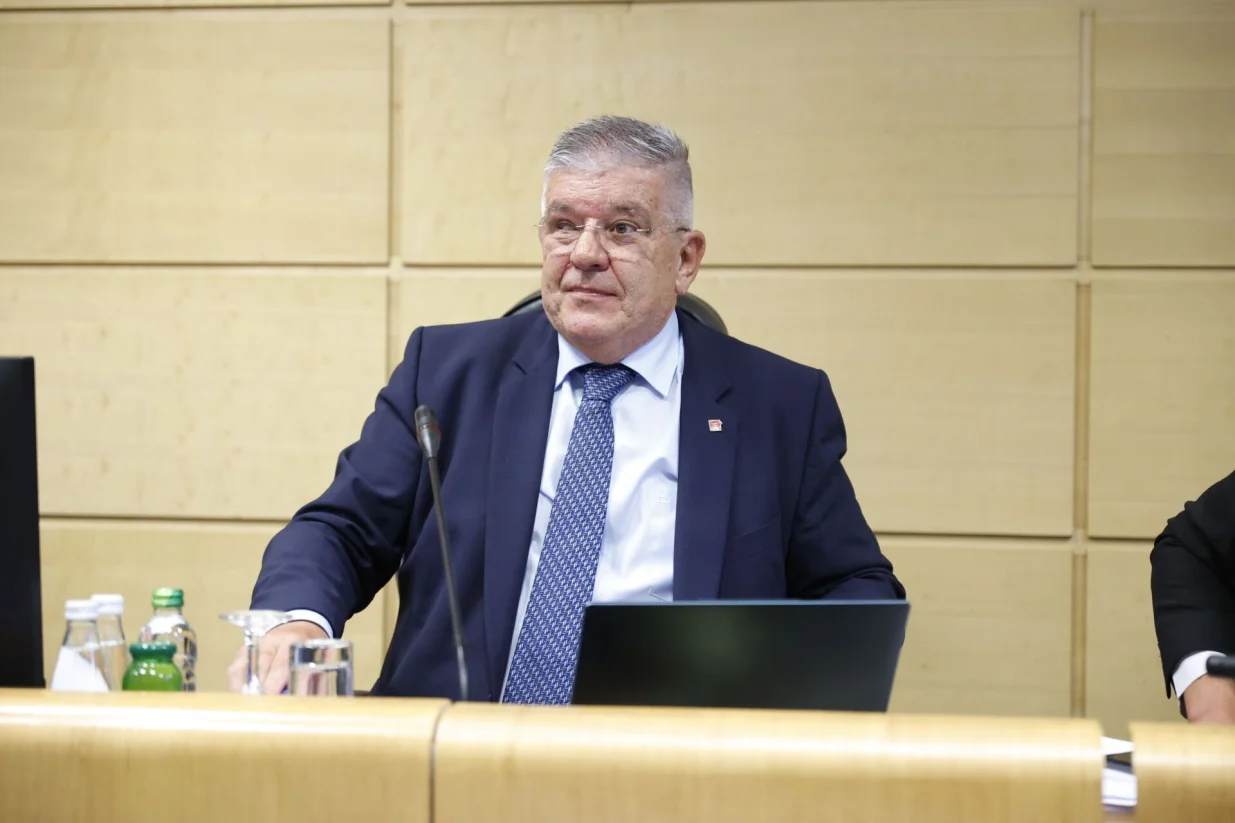 Dragan Mioković, Parlament FBiH/