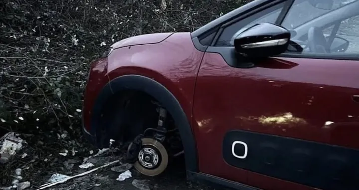 Vlasnica je u &scaron;oku/Dru&scaron;tvene Mreže