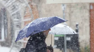 Snijeg šetnja saobraćaj ilustracija zima/Senad Gubelić