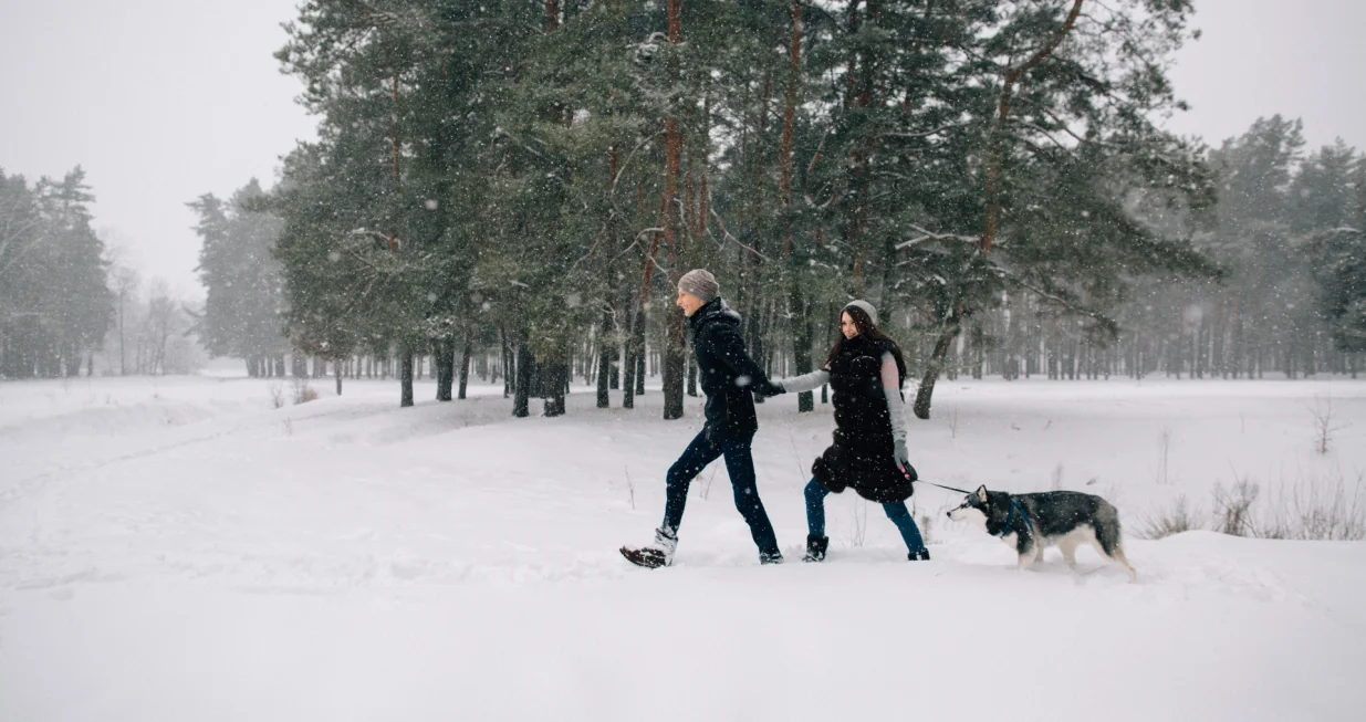 Opasnost na minusu/Free Pik