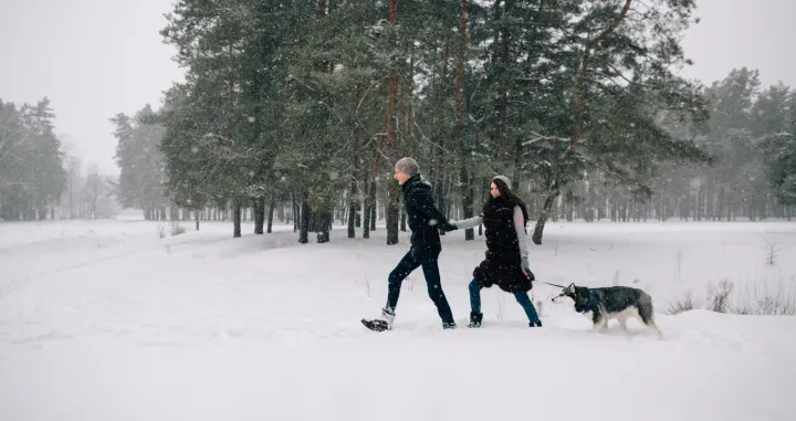 Opasnost na minusu/Free Pik