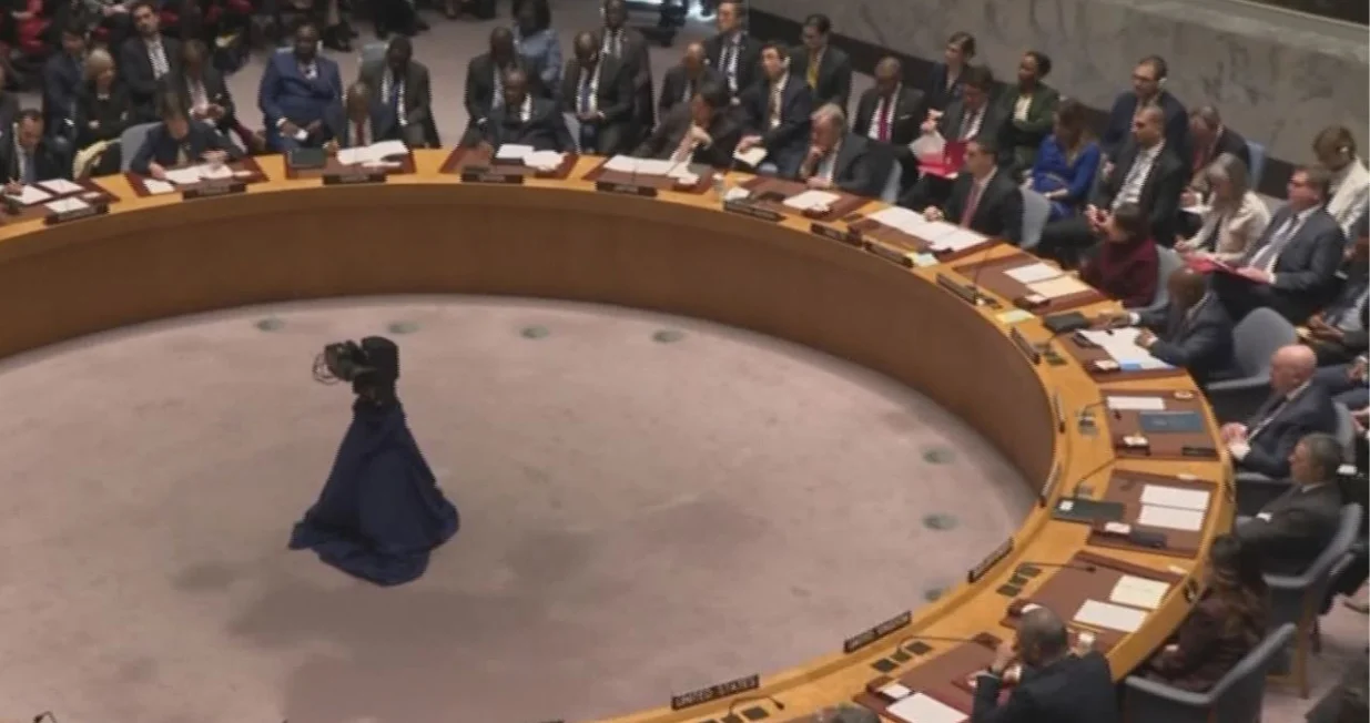 Vijeće sigurnosti UN-a o BiH/