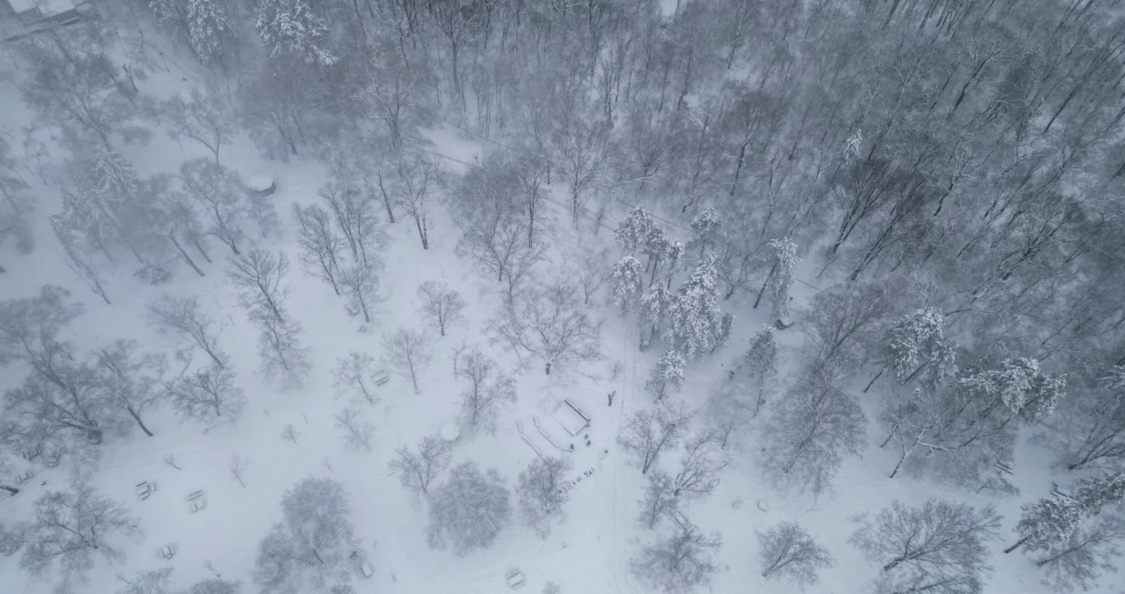 Zvezdara prekrivena snijegom/Zorana Jevtic
