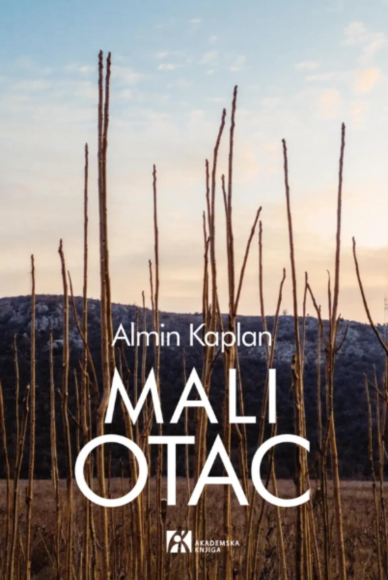 Roman "Mali otac" u izdanju Akademske knjige/