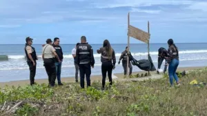 Jezive scene/X.com//