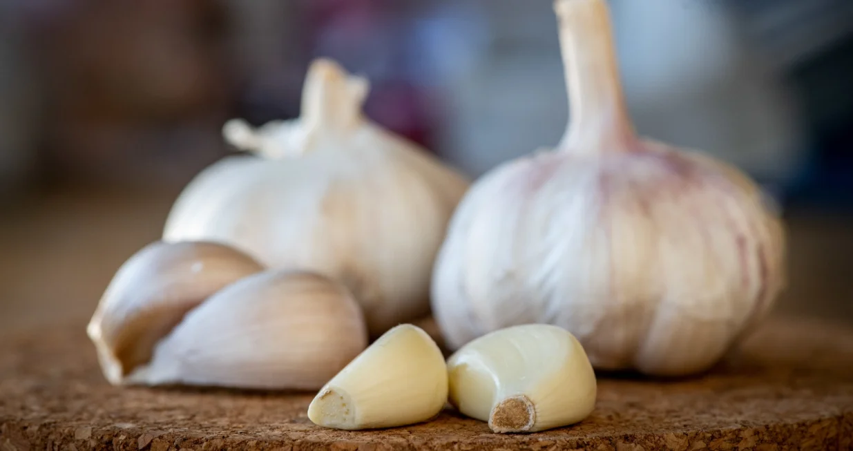 Vi&scaron;e se nikad neće pokvariti/Free Pik