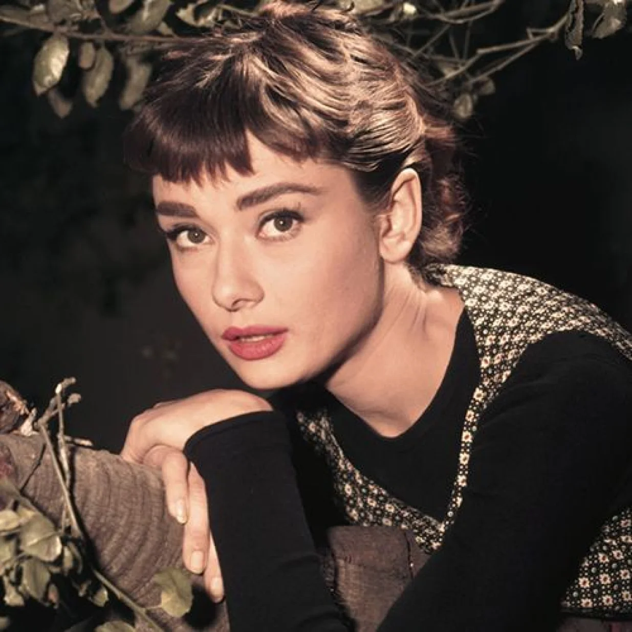 Audrey Hepburn/