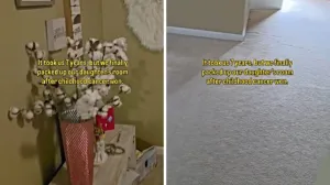 Sedam godina nakon smrti kćeri majka je pospremila njezinu sobu, video dirnuo mnoge/Screenshot