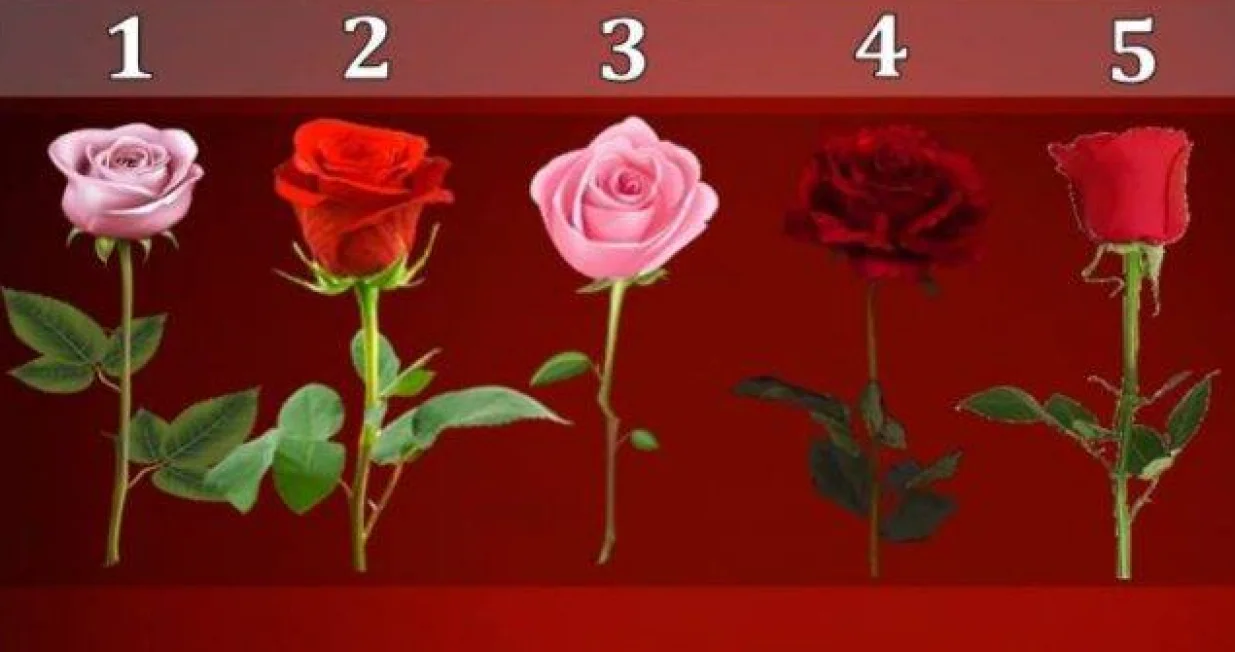 Pažljivo birajte/Facebook