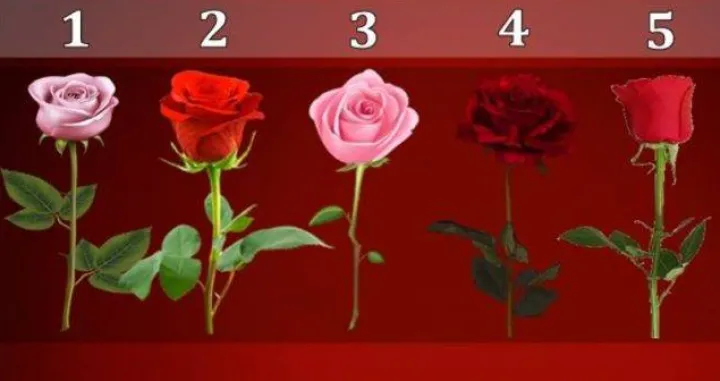 Pažljivo birajte/Facebook