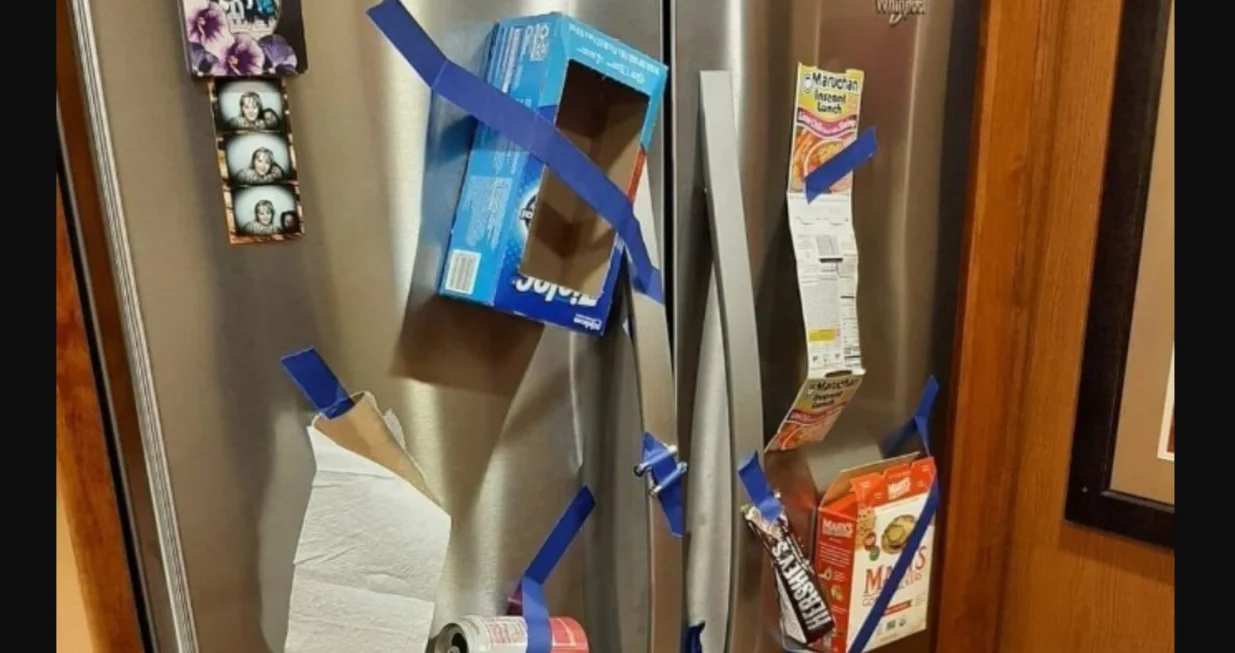 Žena mi je rekla da ono &scaron;to potro&scaron;imo "stavimo na frižider, nije spomenula listu"/Facebook/organization Hacks & Inspiration 