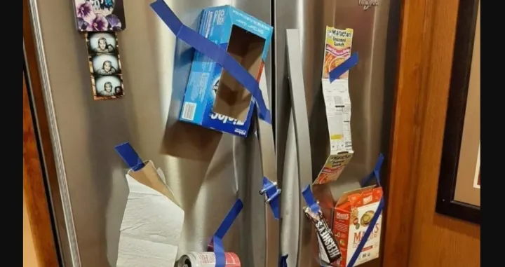 Žena mi je rekla da ono &scaron;to potro&scaron;imo "stavimo na frižider, nije spomenula listu"/Facebook/organization Hacks & Inspiration 