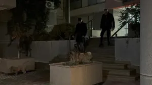 Aleksandar Aco Kos i Čedomir Čedo Jovanović, šetnja sa psom, Beograd/Telegraf.rs.