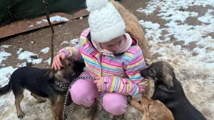 Šapice Krajine u akciji/