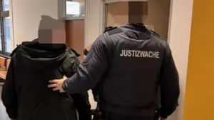 Povećana kazna državljaninu BiH/Printscreen/tt.com//