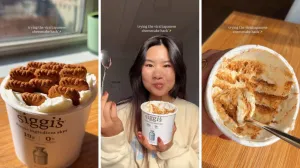 Japanski viralni jogurt cheesecake/@jerica.feasts