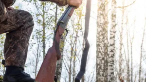 Lovačka puška, lovac, lovci, lov, šuma, lov u šumi/Ilustracija/