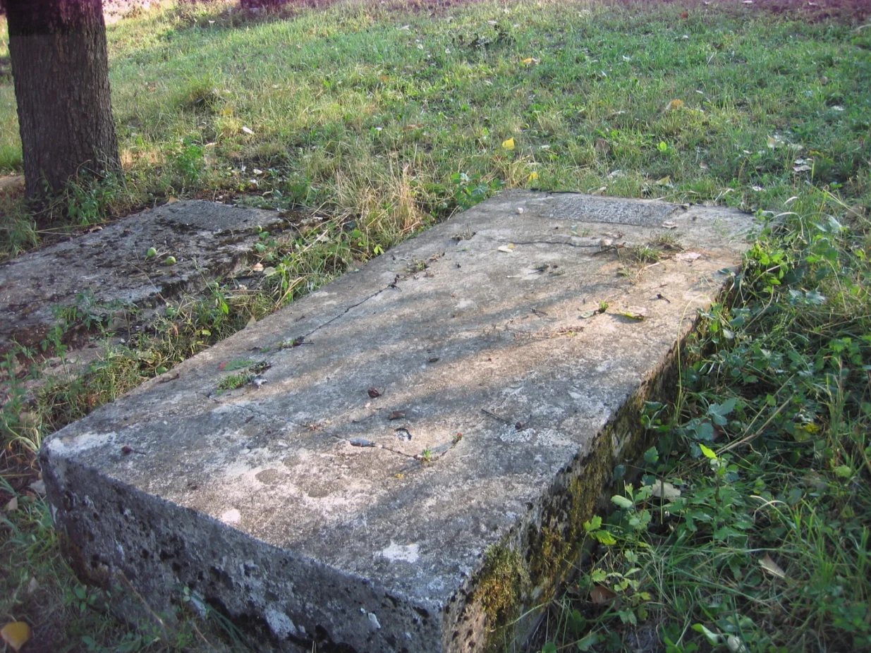 Vječno počivali&scaron;te Lotike Celermajer/