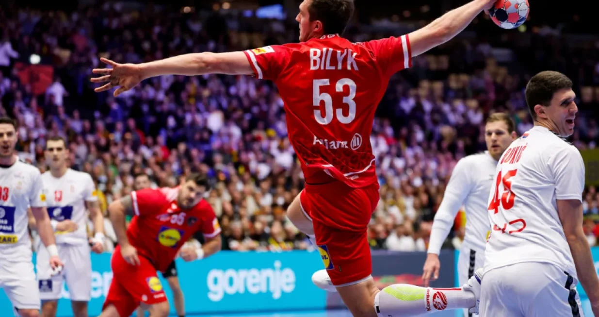 Detalj sa utakmice Austrija - Srbija/Foto: 