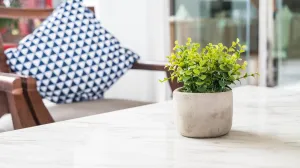 Nemojte se igrati/Free Pik