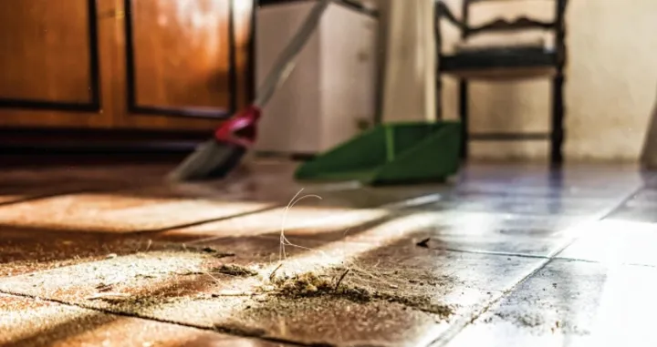 Či&scaron;ćenje pra&scaron;ine/