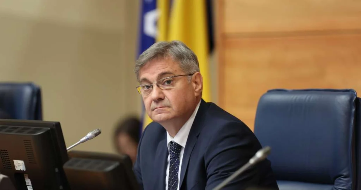 denis zvizdić pd psbih/