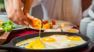 Stručnjaci sve otkrili/Free Pik