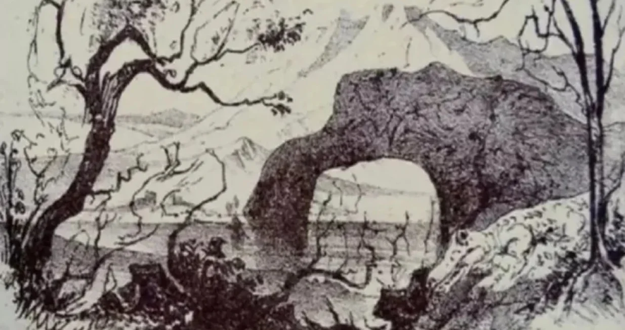 Možete li pronaći sve životinje sa ilustracije?/