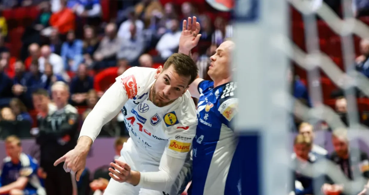 Detalj sa utakmice Hrvatska - Island/Foto: 