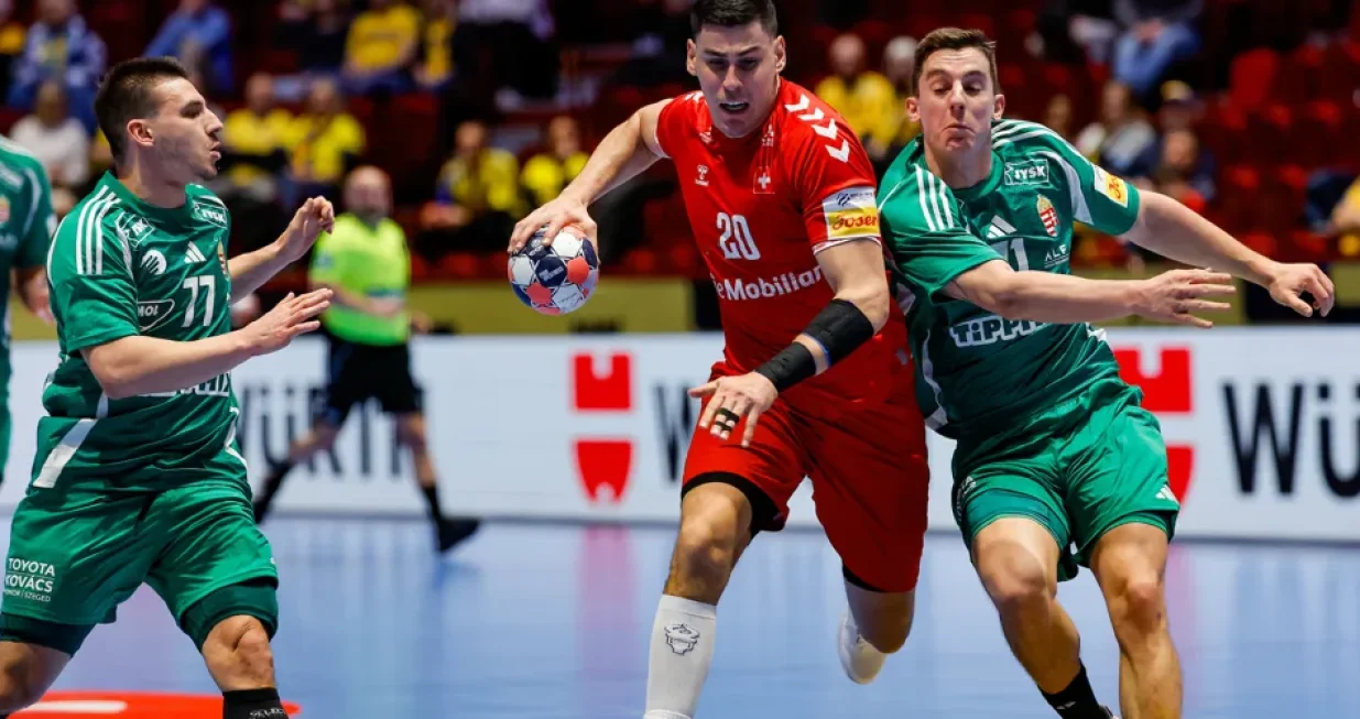 Detalj sa utakmice Mađarska -&Scaron;vicarska/Foto: 