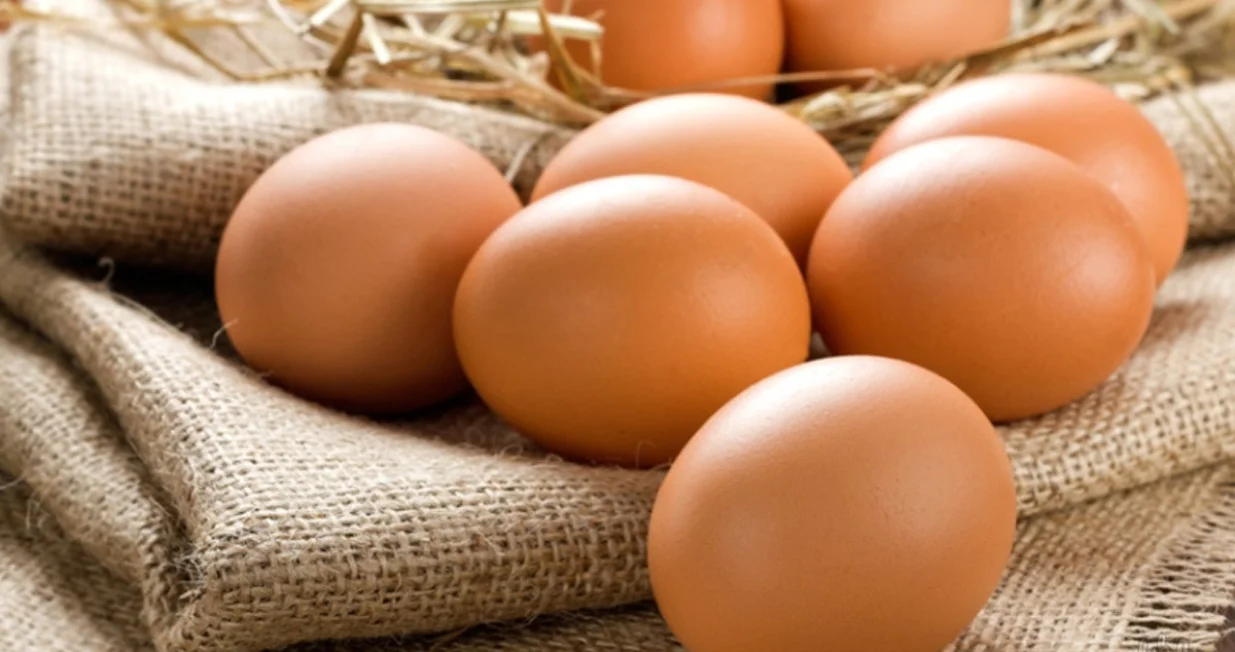 jaja skladi&scaron;titi/