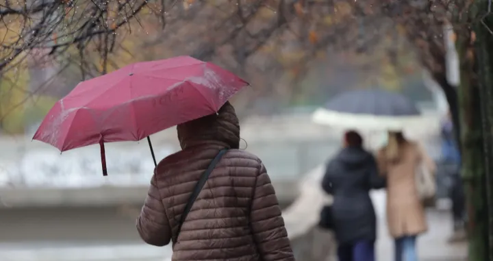 Novembar vrijeme hladno i ki&scaron;no/Senad Gubelić
