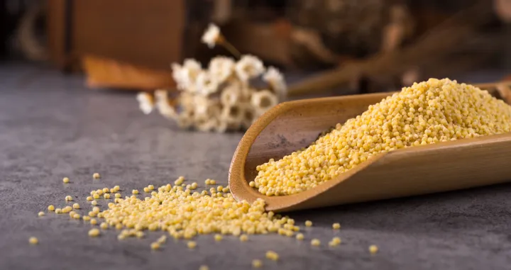 Uvedite ga u ishranu/Free Pik