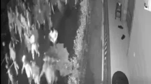 FOTO: Screenshot/Foto: 